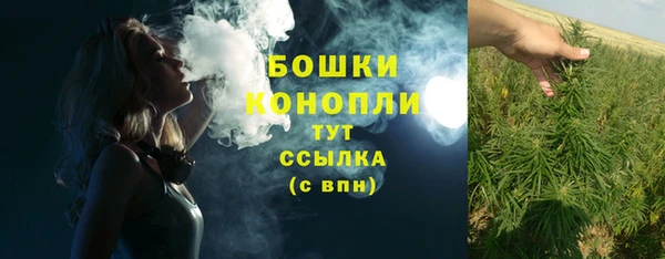 метадон Ельня