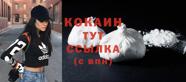 метадон Ельня