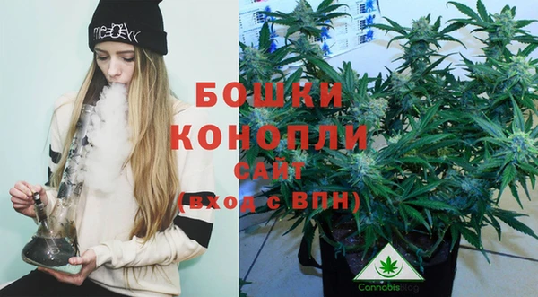 метадон Ельня