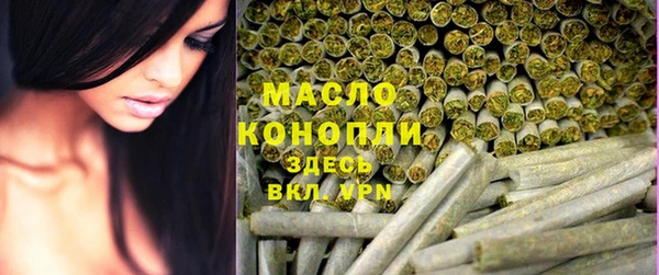 метадон Ельня